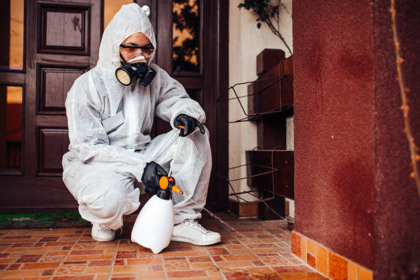 Reliable Wasp Removal contractor in Kibler, AR by Show Me Pest Control